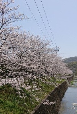 デイケア活動～春の訪れ～