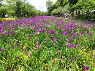 デイケア活動～院外活動～