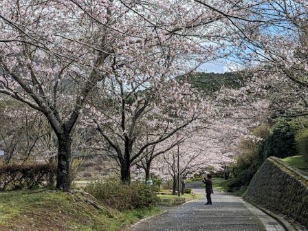 デイケア～院外活動～